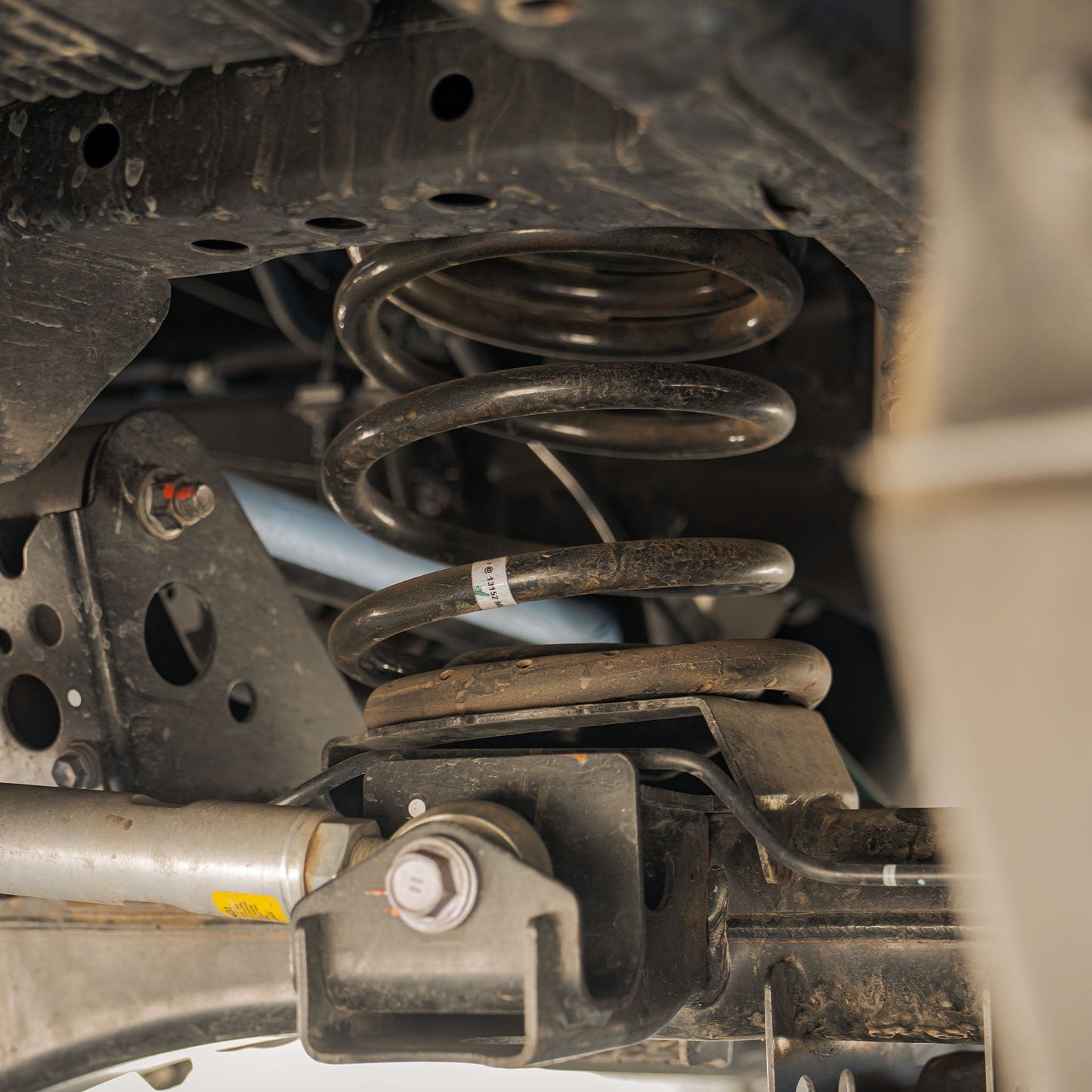 +1" Rear Springs
