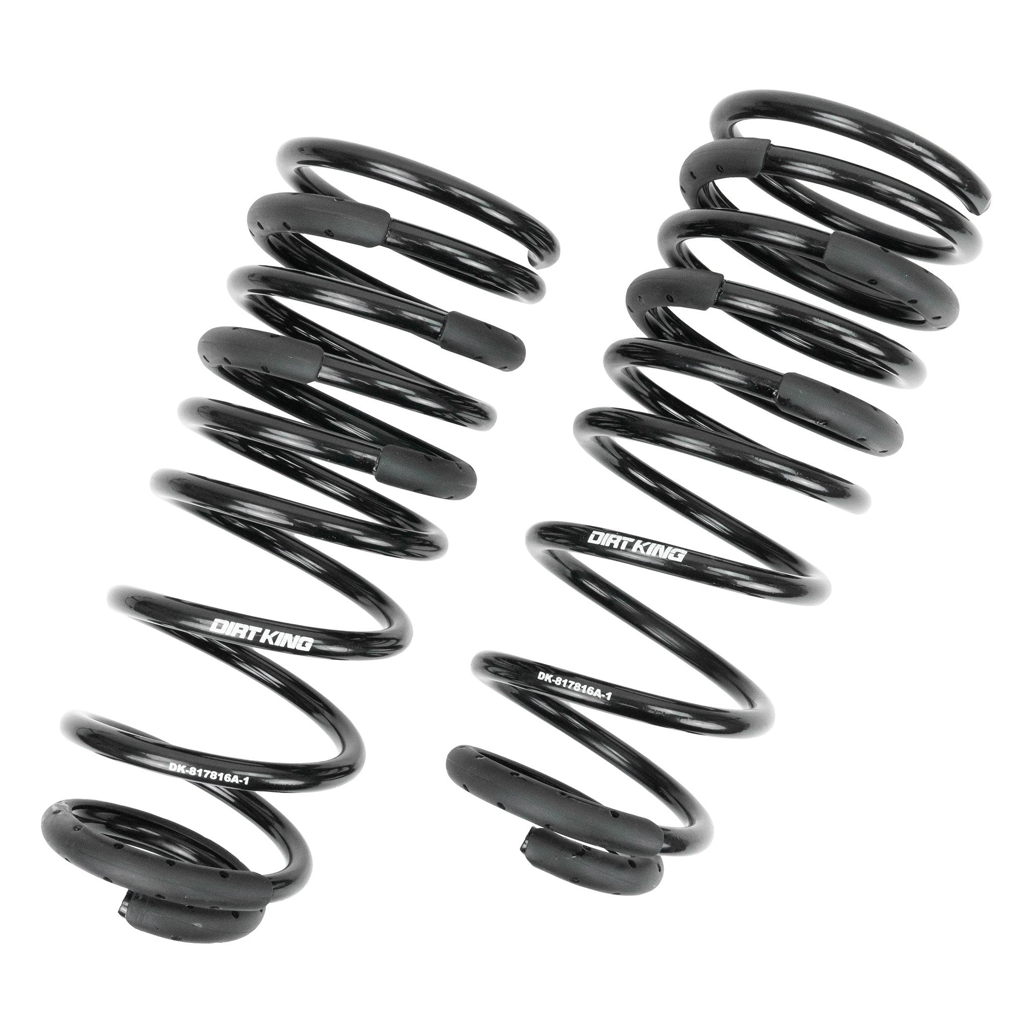 +1" Rear Springs