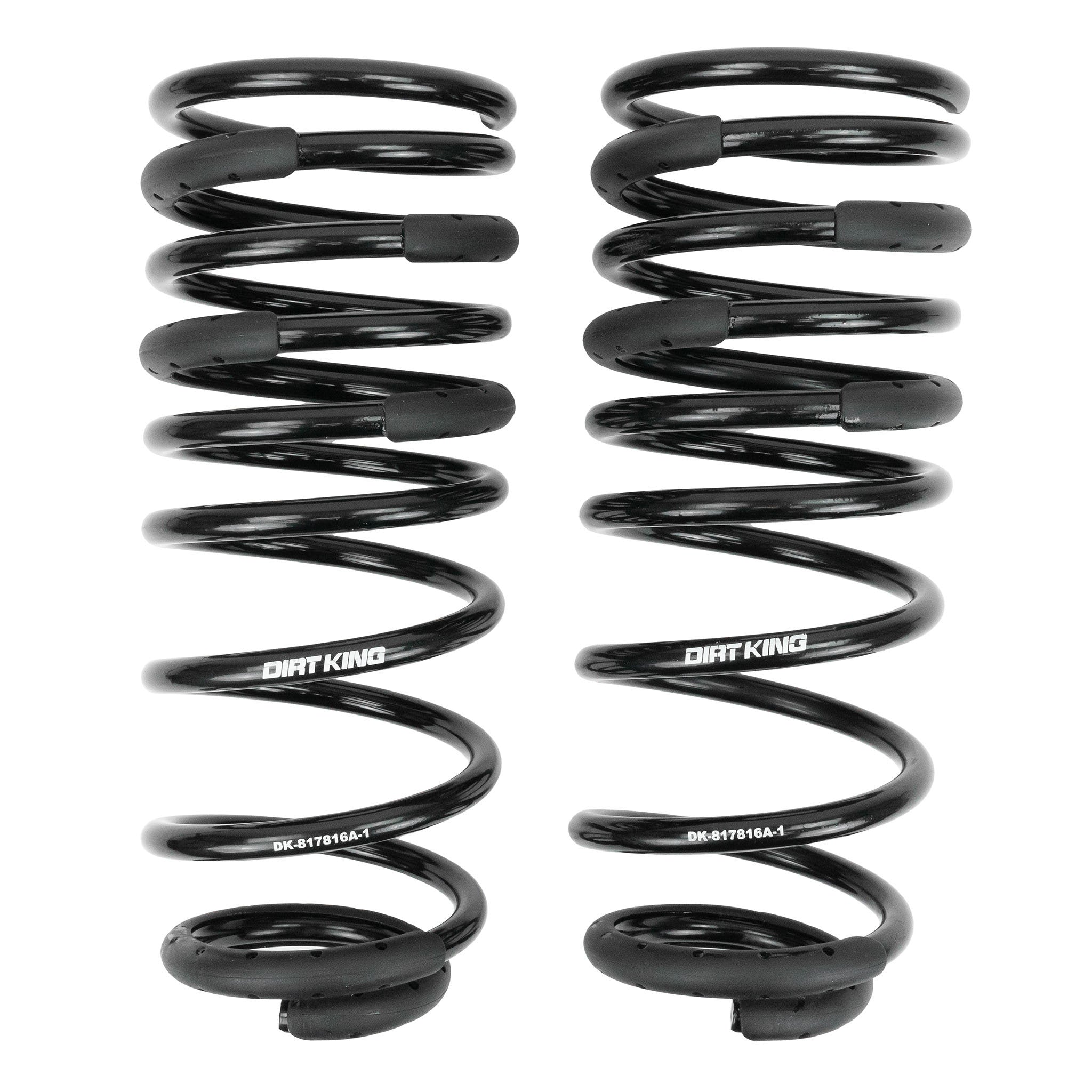 +1" Rear Springs