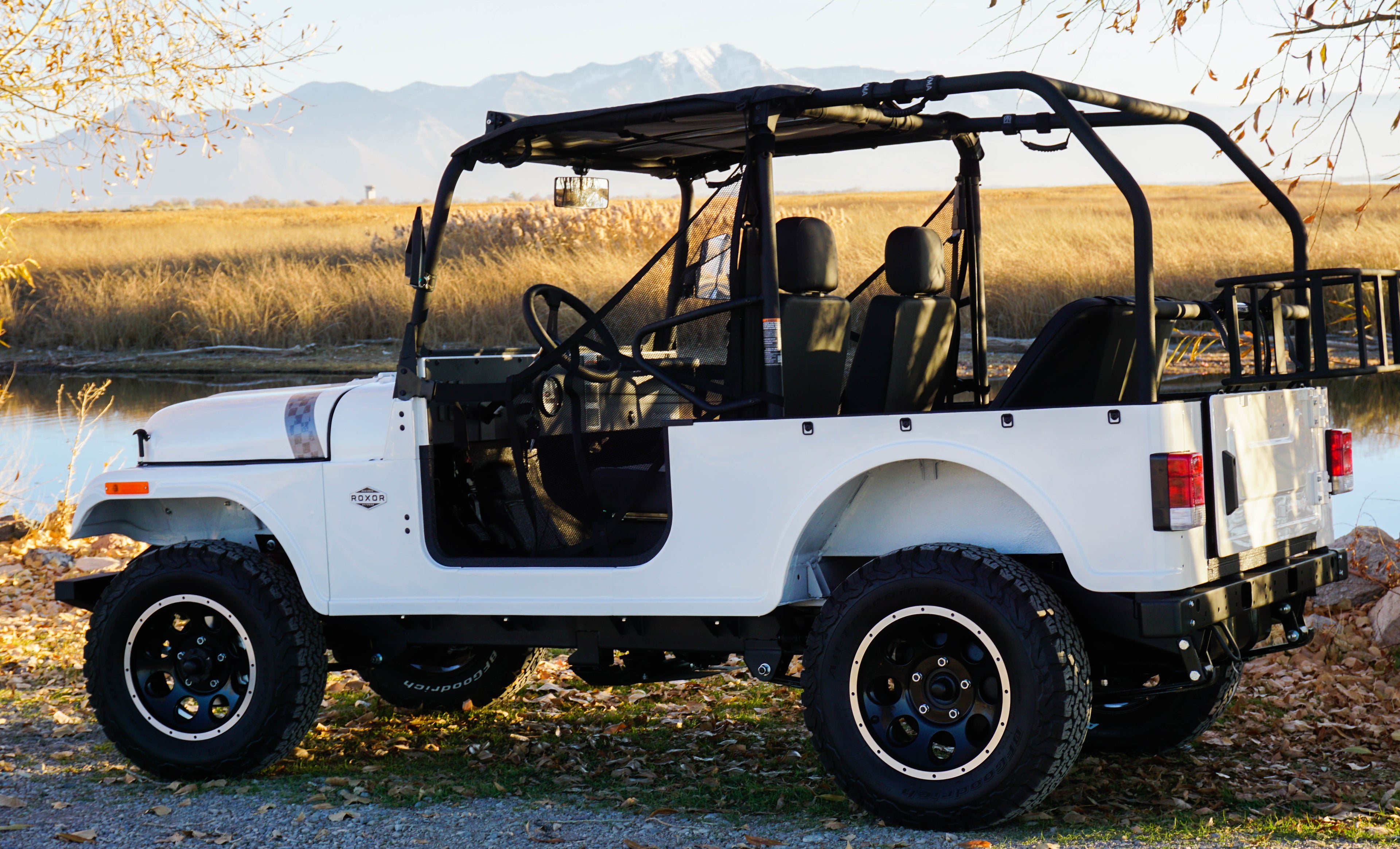 ROXOR Backseat and Roll Cage kit (2018+)