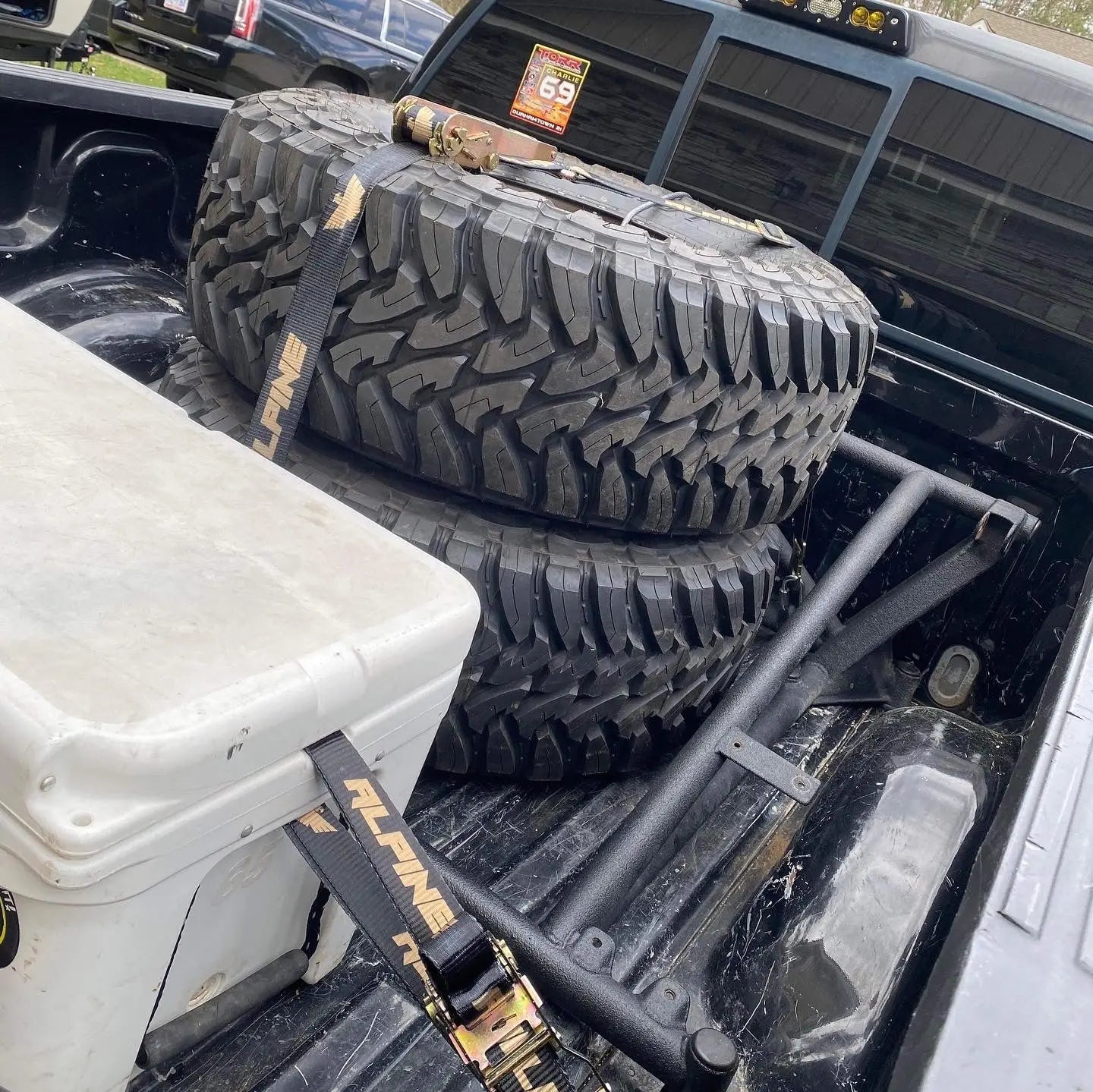 2" Gold Y Strap Alpine Offroad