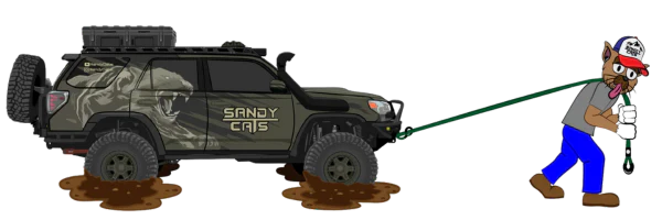 Sandy Cats
