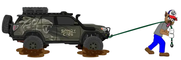 Sandy-Cats safesled