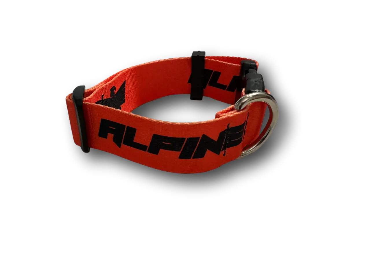 ALPINE Dog Collars Alpine Offroad