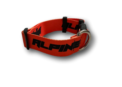 ALPINE Dog Collars Alpine Offroad