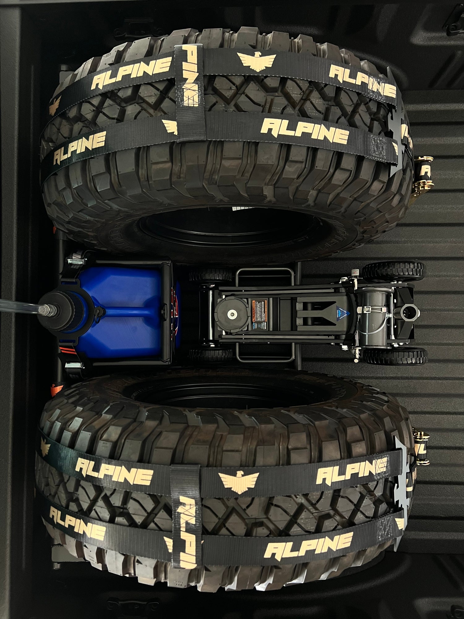 Alpine Double Eagle Straps- Gold and Black (single strap)