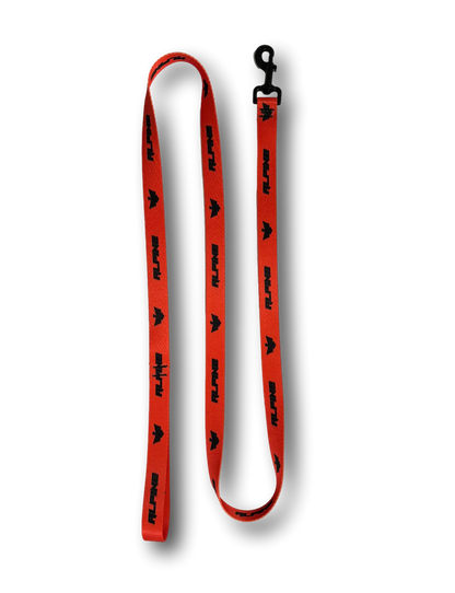 Clearance- ALPINE Dog Leash Alpine Offroad