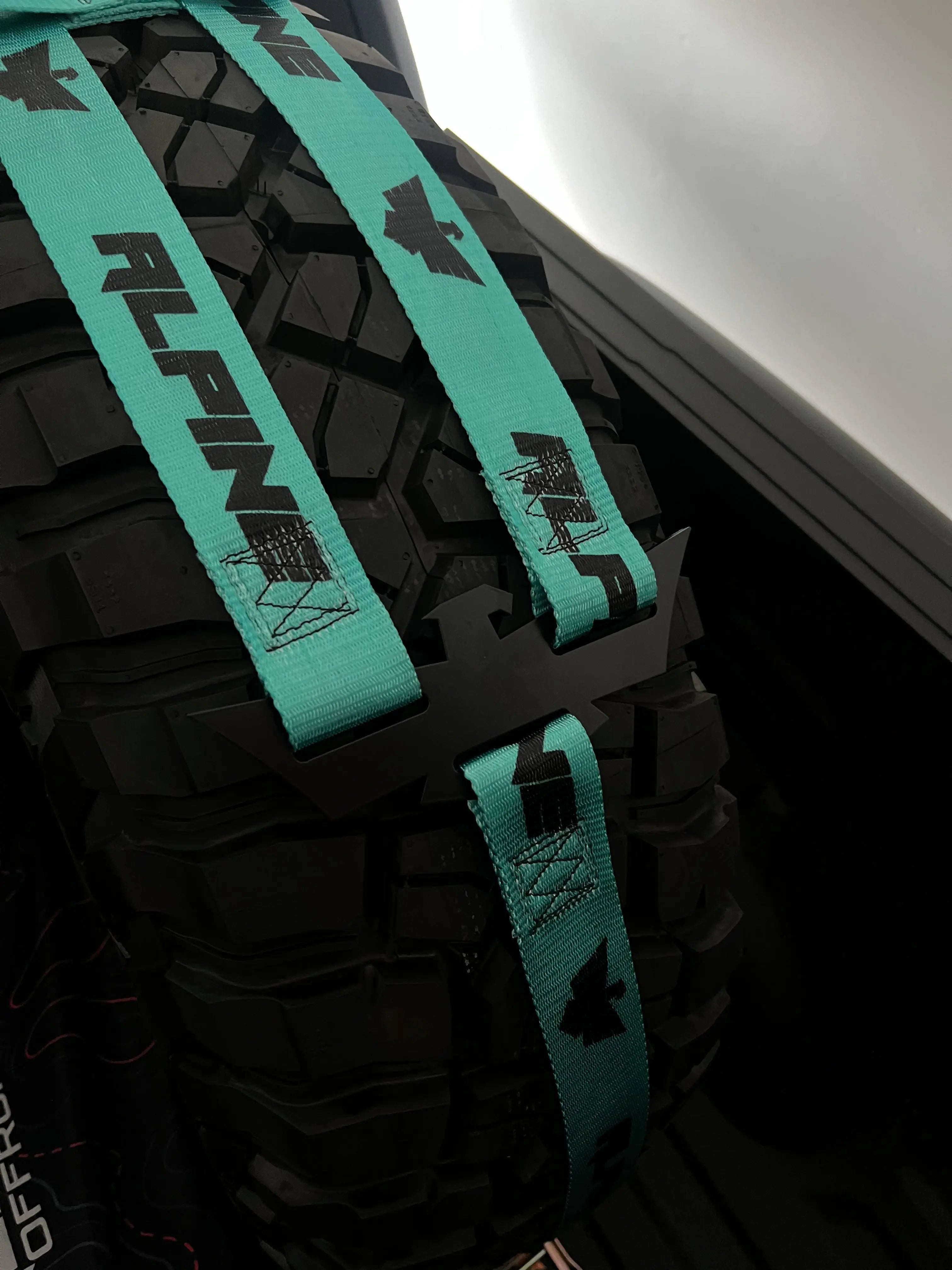 Double Eagle Straps- Teal (single strap) Alpine Offroad