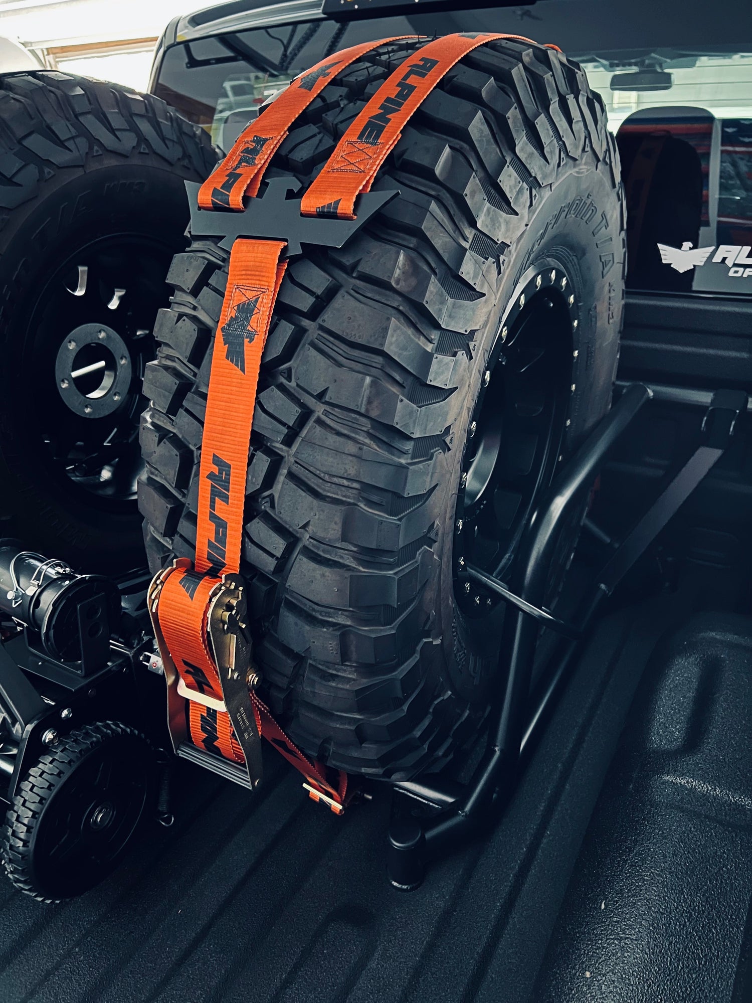 Alpine Double Eagle Straps- Orange (single strap) Alpine Offroad