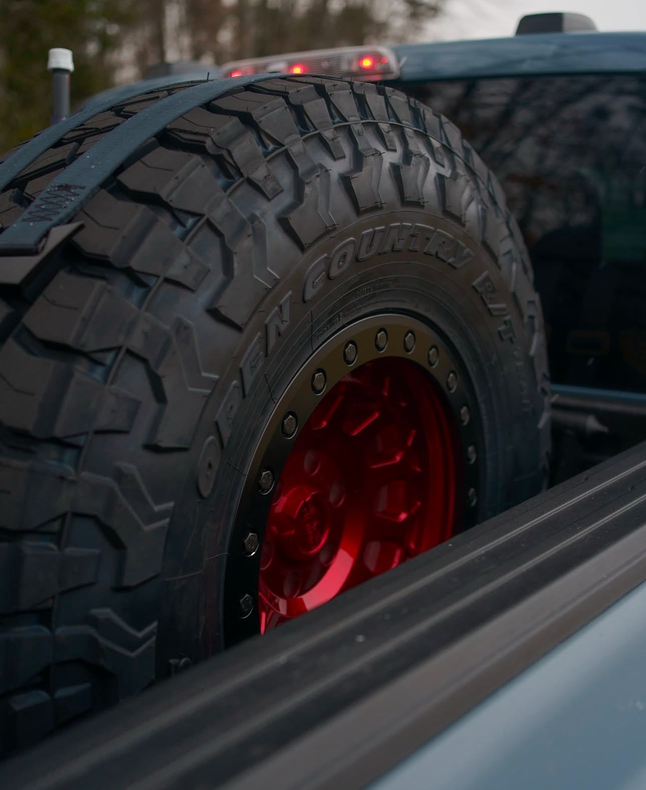 Alpine Double Eagle Straps- Essentials (single strap)