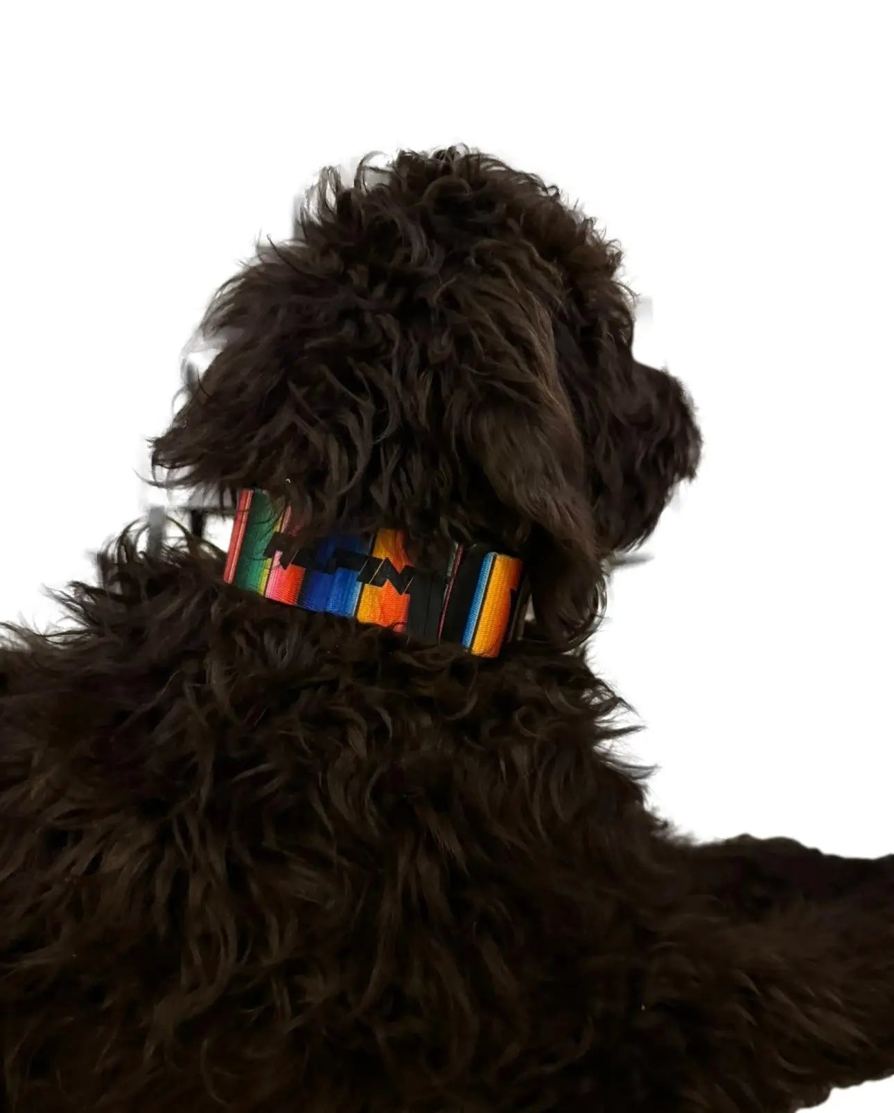 ALPINE Dog Collars Alpine Offroad
