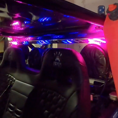 Interior Whip 5150 Whips