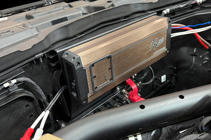 Polaris® RZR® Pro Series Pulse Bar Amplifier Mount | UTVS-PRO-AMPMT-PB