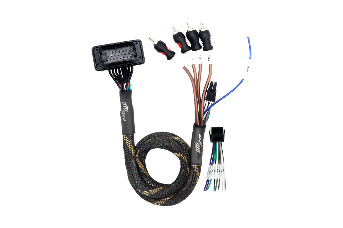 RZR® Pro Series Ride Command Front &amp; Rear RCA Output + Speaker Wire &amp; Remote | UTVS-PRO-RC-RCA-OUT
