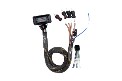 RZR® Pro Series Ride Command Front &amp; Rear RCA Output + Speaker Wire &amp; Remote | UTVS-PRO-RC-RCA-OUT