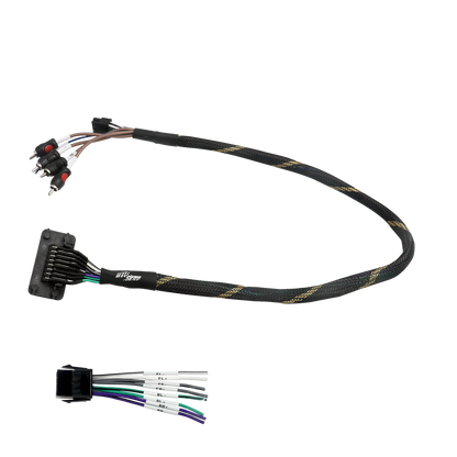 RZR® Pro Series Ride Command Front &amp; Rear RCA Output + Speaker Wire &amp; Remote | UTVS-PRO-RC-RCA-OUT