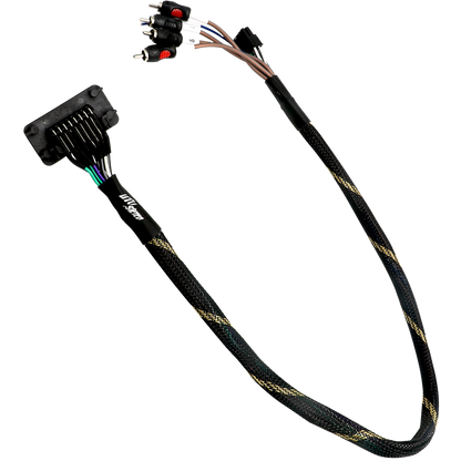 RZR® Pro Series Ride Command Front &amp; Rear RCA Output + Speaker Wire &amp; Remote | UTVS-PRO-RC-RCA-OUT