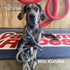 5 Ft Dog Winch Leash Yankum Ropes